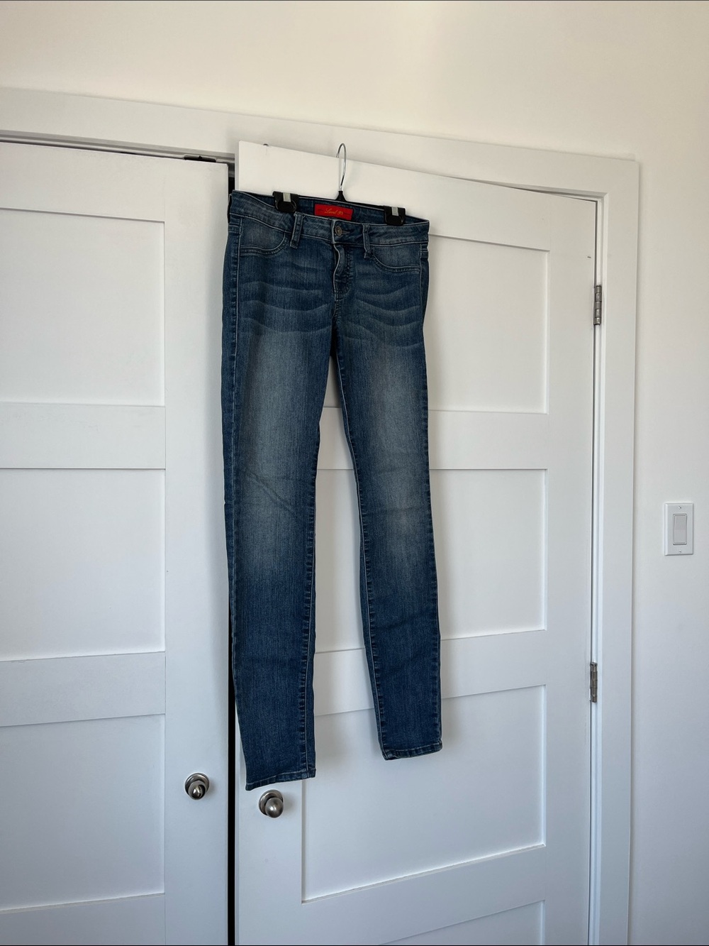 Level 99 Skinny Jeans in Washed Blue